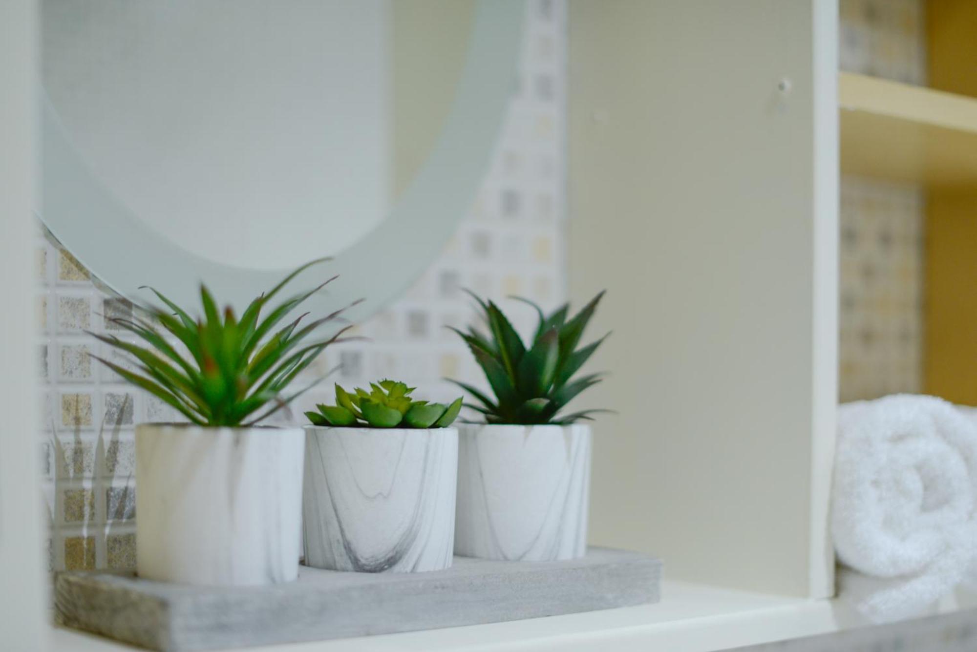 Harbour Court Plymouth - Free Parking - Tucked Away On The Barbican With Courtyard - By Ocean City Retreats Eksteriør billede
